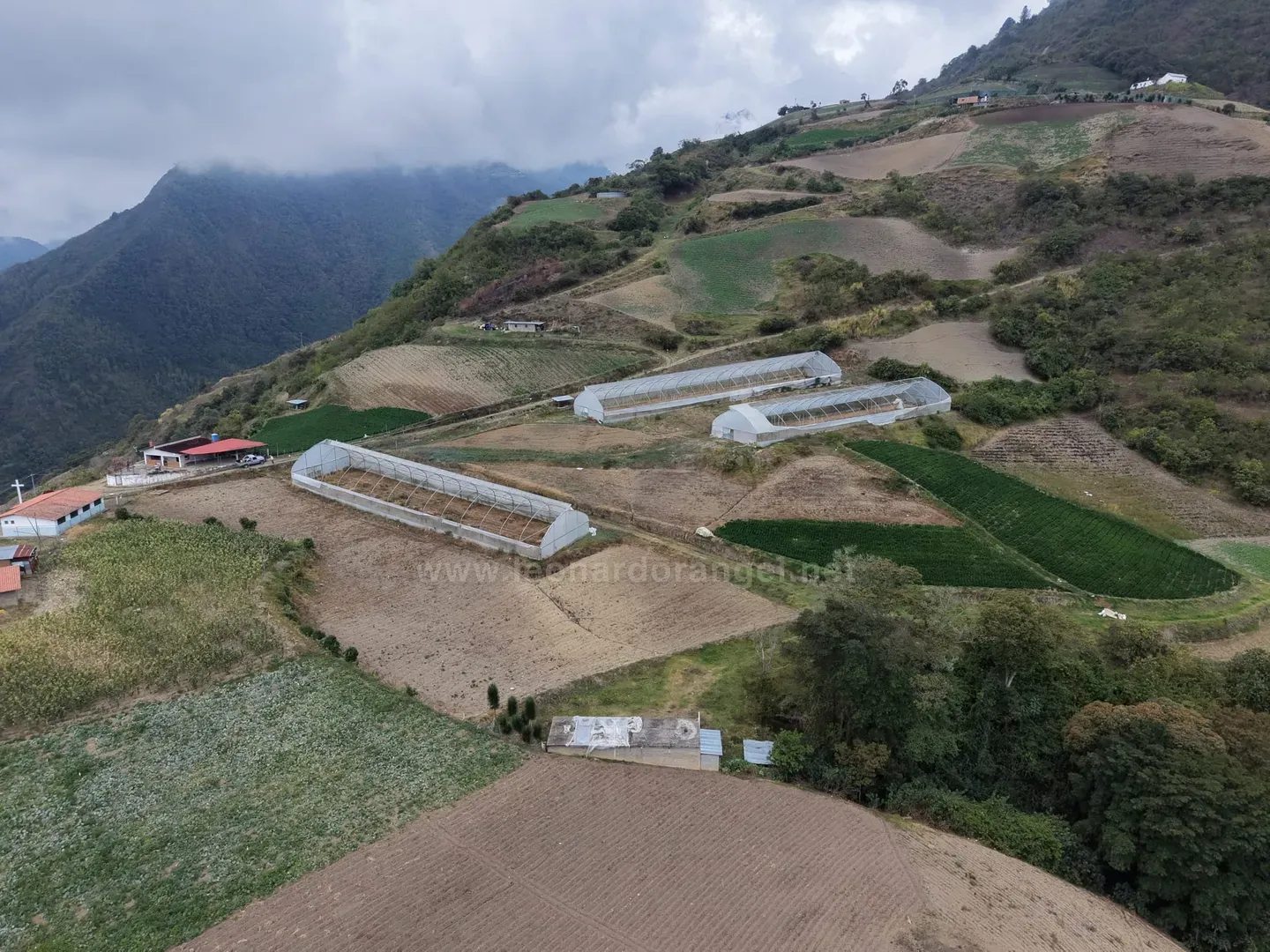Invernaderos y barbechos de la finca en Altamira de Garabulla, Timotes, Mérida